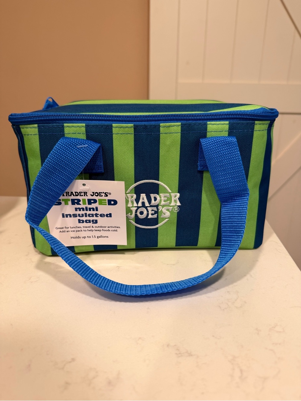 Trader Joe's Striped Mini Insulated Bag - Blue & Green
